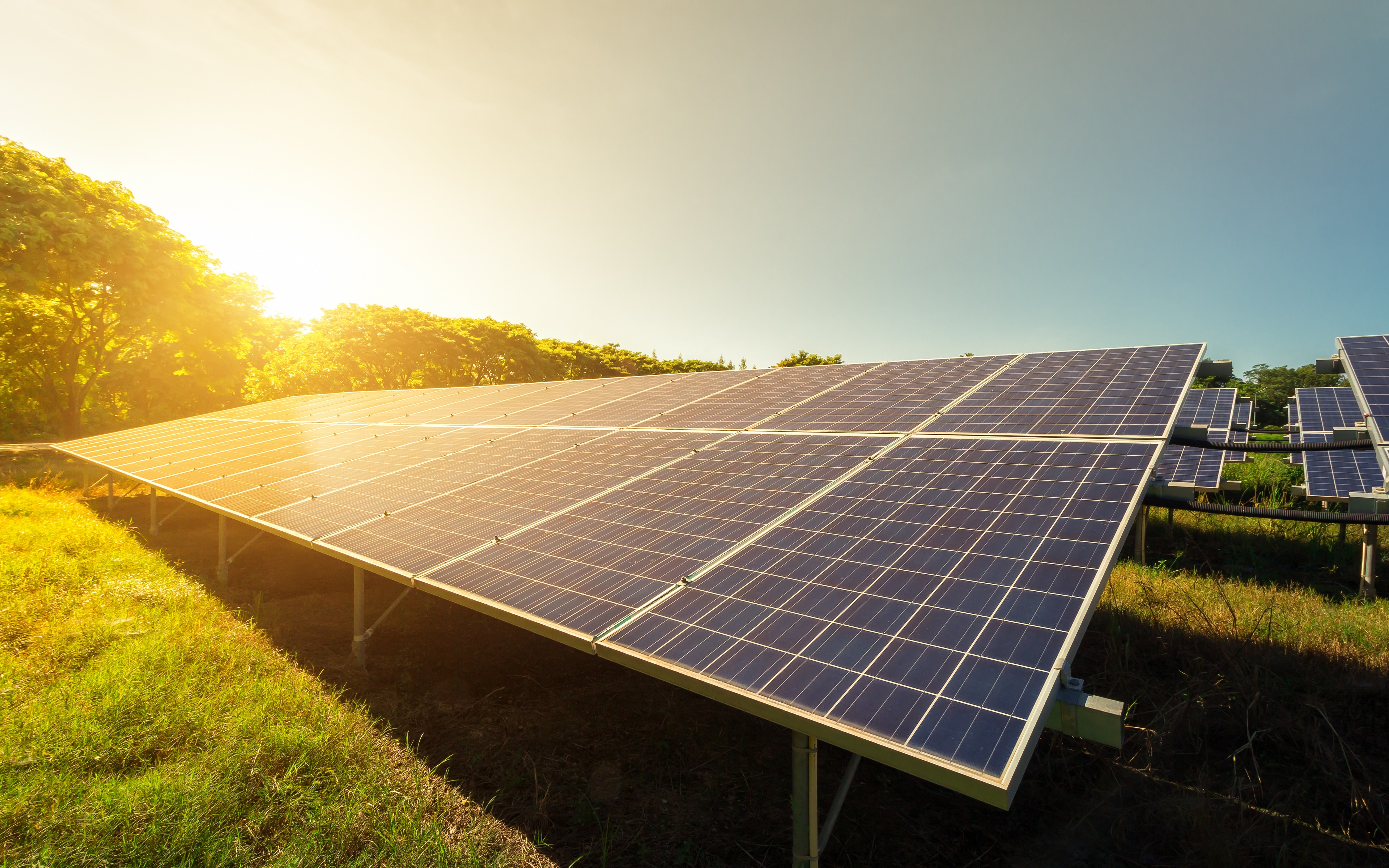 Photo of a solar panel installation in a field