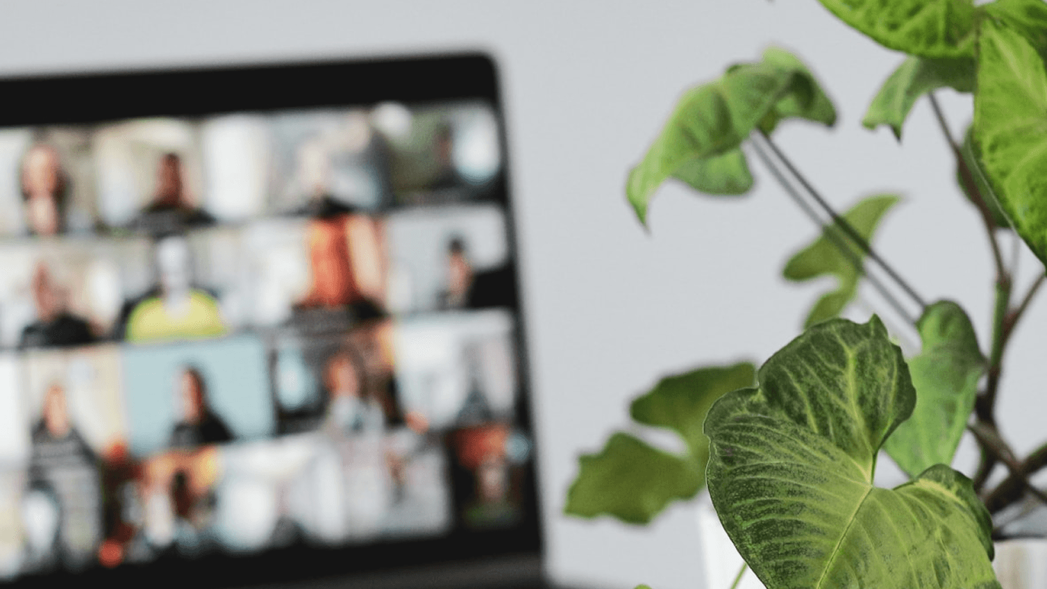 Photo showing a group of people on a videoconference call